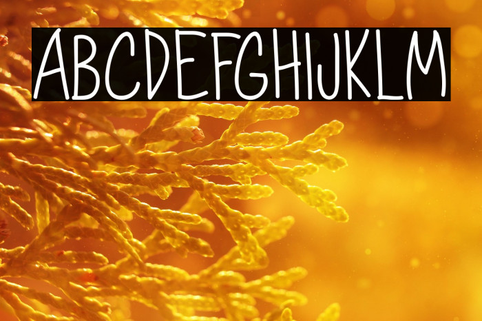 Dorathy  - Personal Use Only Example 2