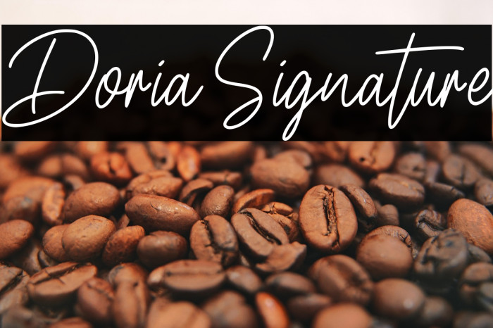 Doria Signature Example 2