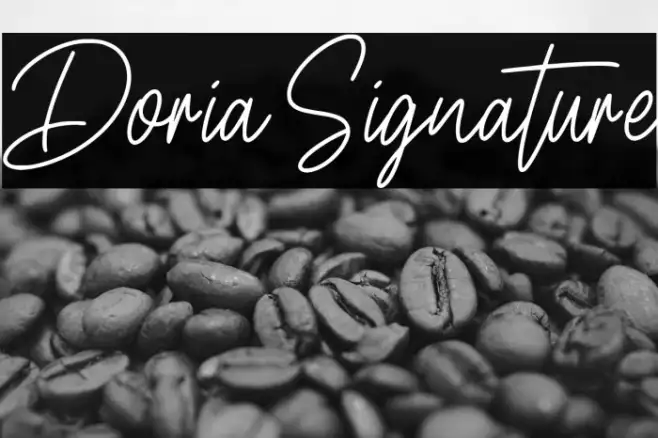 Doria Signature Example 2