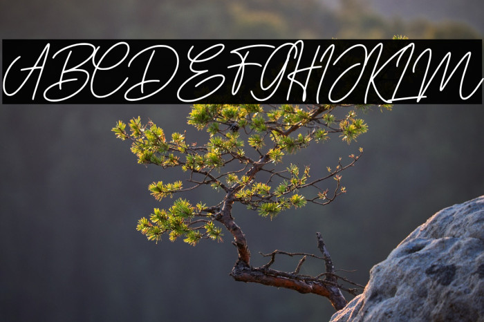 DoriaSignature Example 3