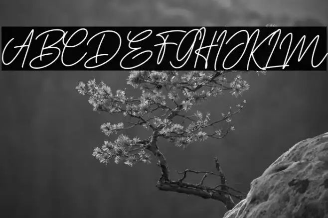 DoriaSignature Example 3