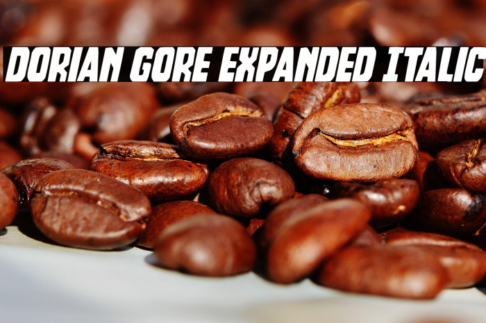 Dorian Gore Expanded Italic Example 3