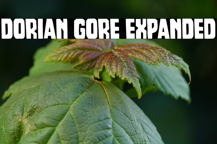 Dorian Gore Expanded Example 1
