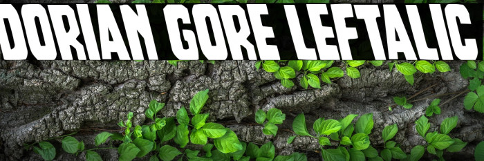 Dorian Gore Leftalic Example 2