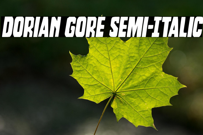 Dorian Gore Semi-Italic Example 3