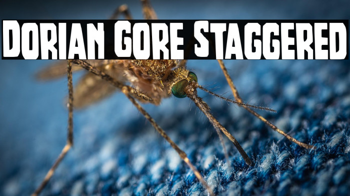 Dorian Gore Staggered Example 3