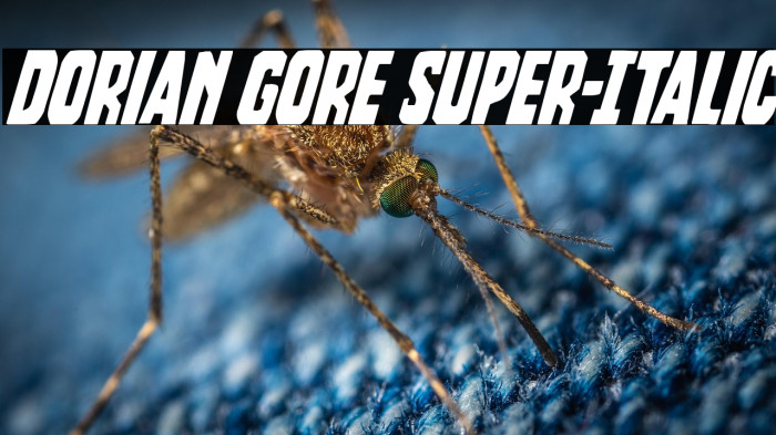 Dorian Gore Super-Italic Example 2