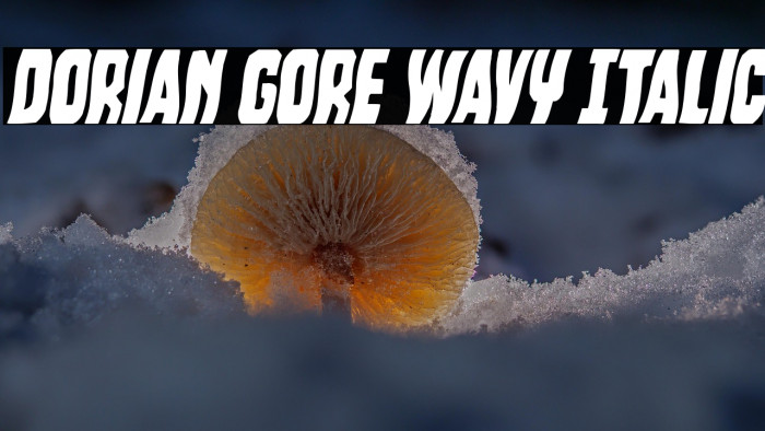 Dorian Gore Wavy Italic Example 2