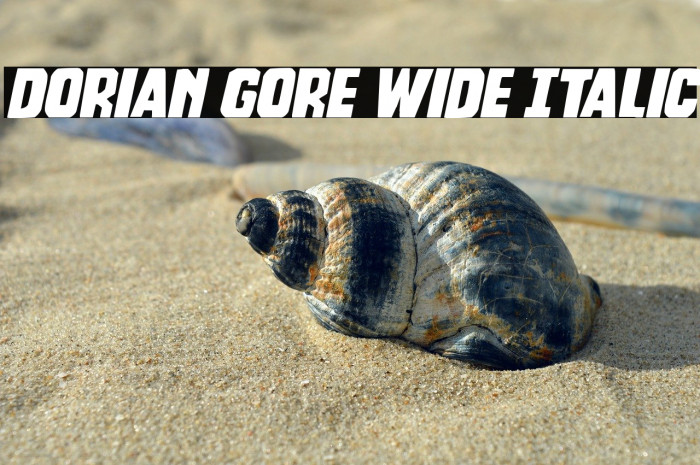 Dorian Gore Wide Italic Example 2