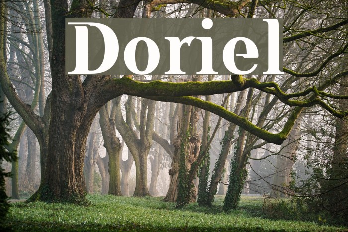 Doriel Font examples