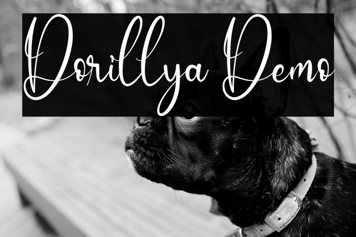 Dorillya Demo Example 2