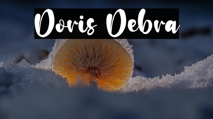 Doris Debra Example 1