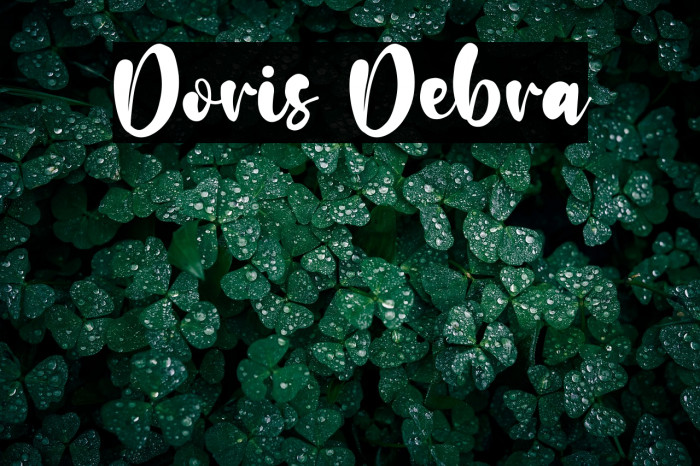 Doris Debra Example 3