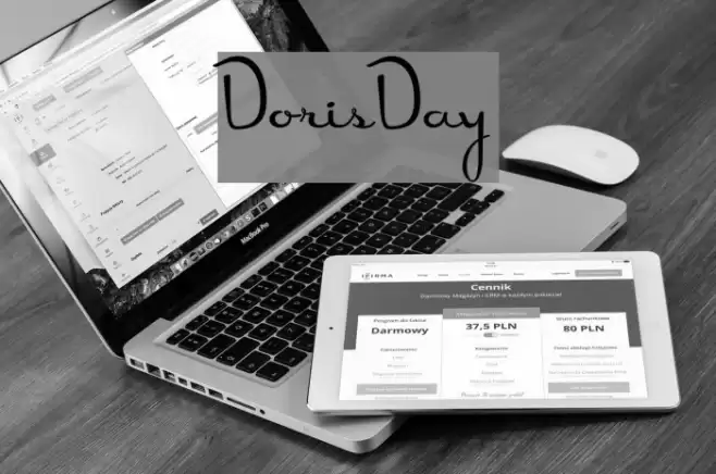 DorisDay Font examples