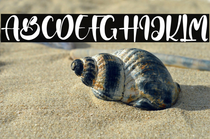 DorisDebra Example 3