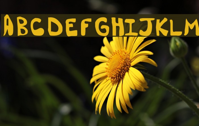 Dorkbutt Font examples