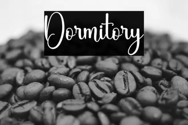Dormitory 字体 examples
