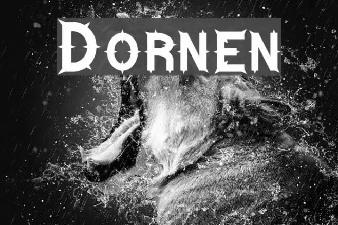 Dornen Example 2