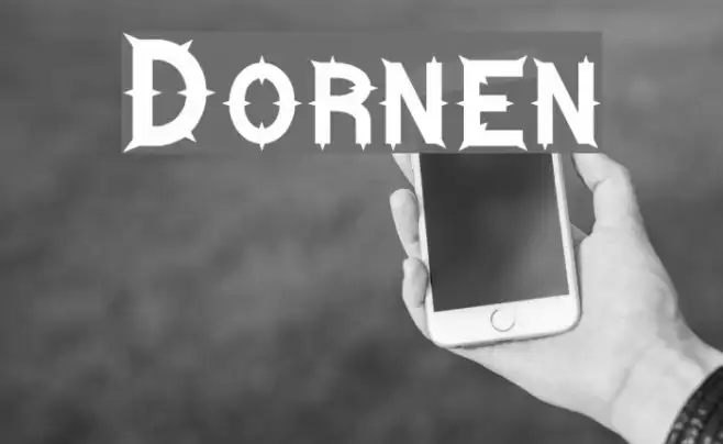 Dornen Example 3