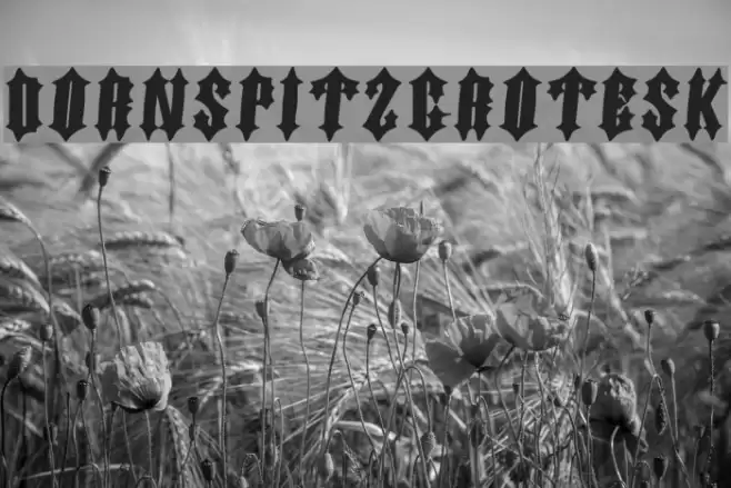 DornspitzGrotesk Font examples