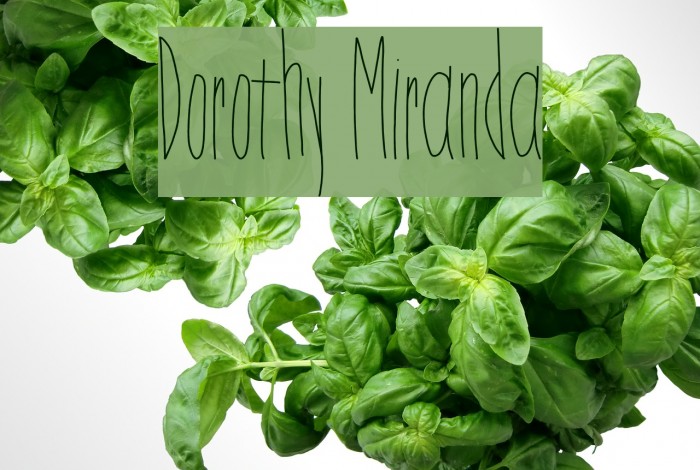 Dorothy Miranda Example 3