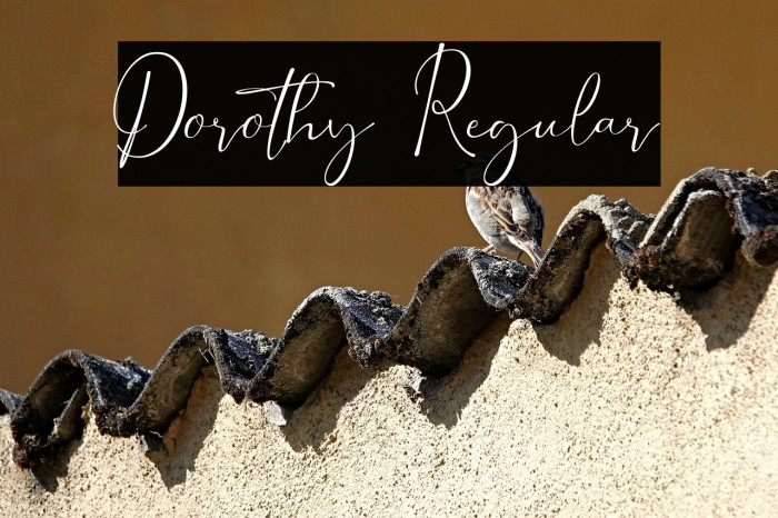 Dorothy Regular Example 2