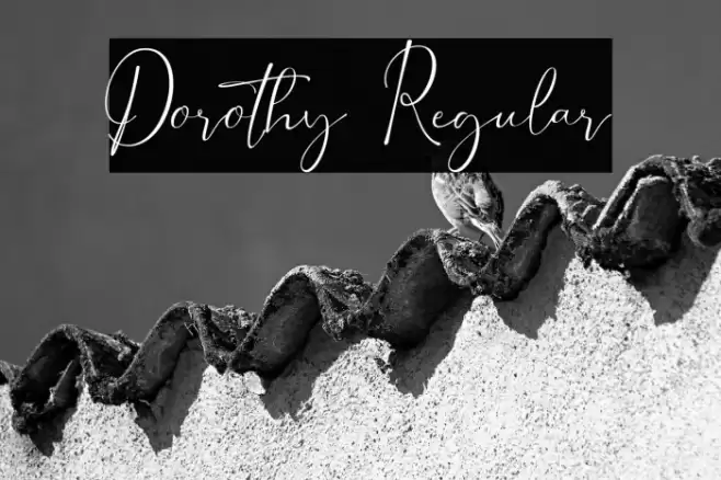 Dorothy Regular फ़ॉन्ट examples