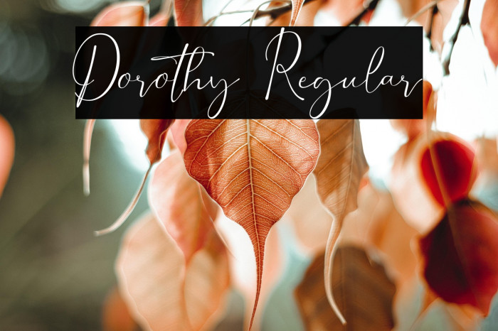 Dorothy Regular Example 3