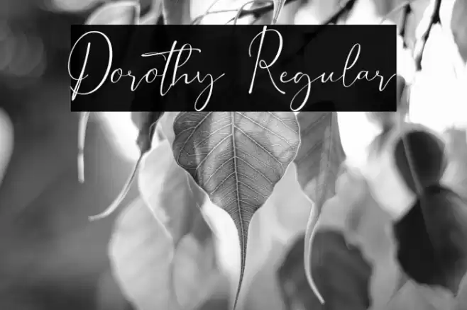 Dorothy Regular फ़ॉन्ट examples