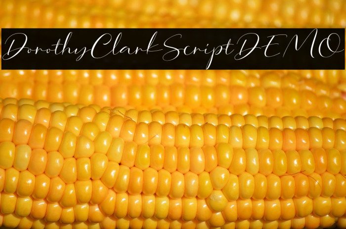 DorothyClarkScriptDEMO Example 1