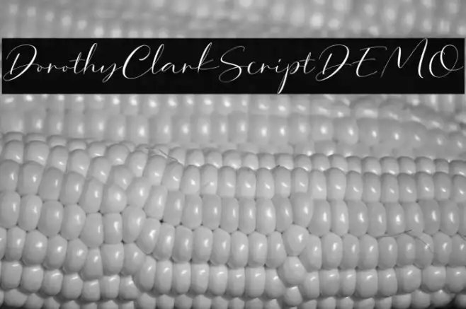 DorothyClarkScriptDEMO Example 1