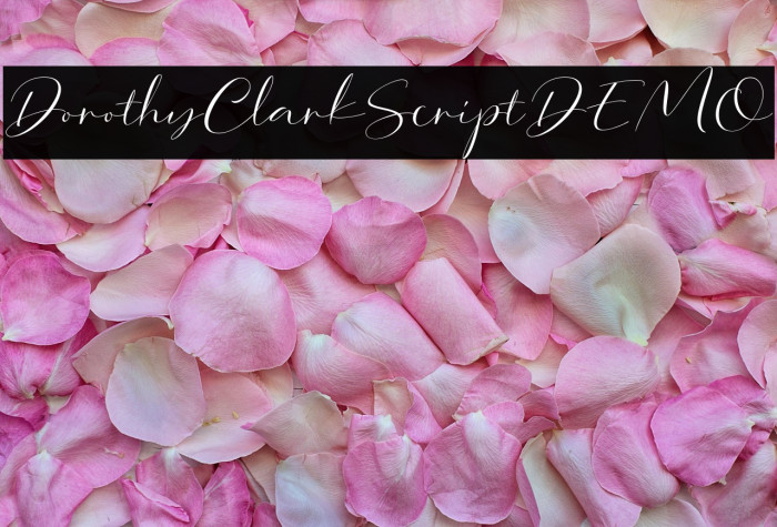 DorothyClarkScriptDEMO Example 2