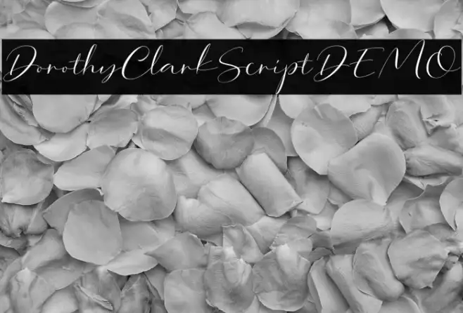 DorothyClarkScriptDEMO Example 2