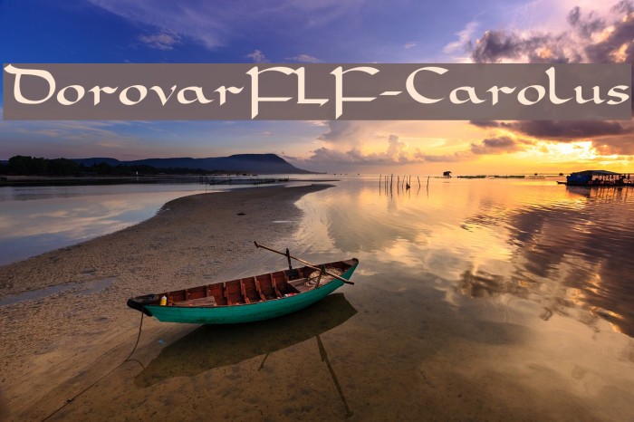DorovarFLF-Carolus Font examples