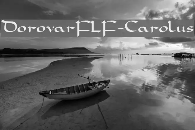 DorovarFLF-Carolus Example 1