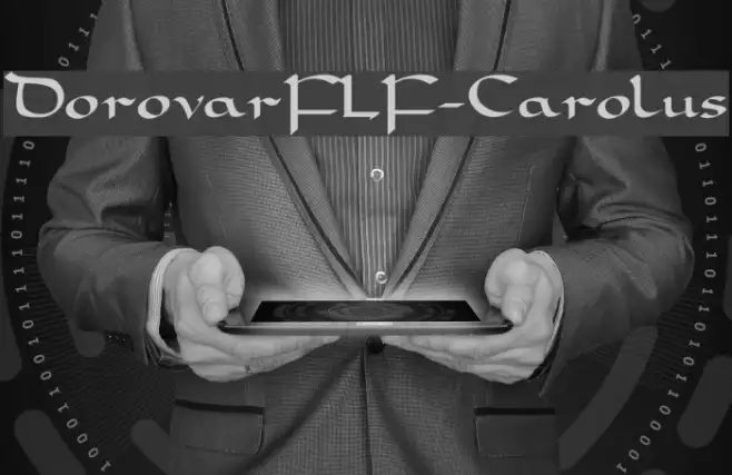 DorovarFLF-Carolus Example 2