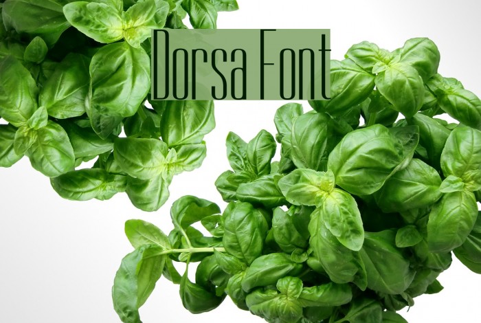 Dorsa Font examples