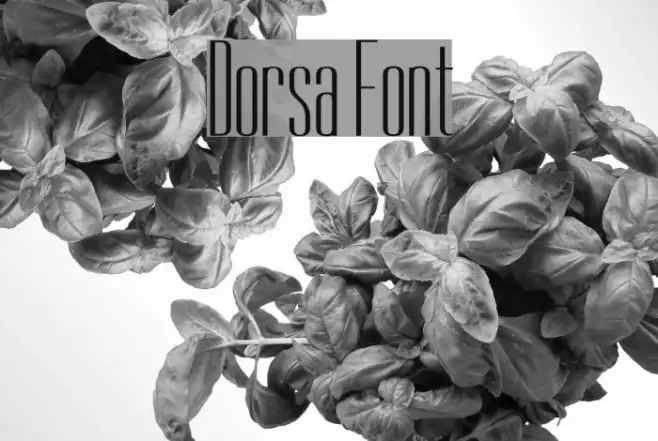 Dorsa Example 2