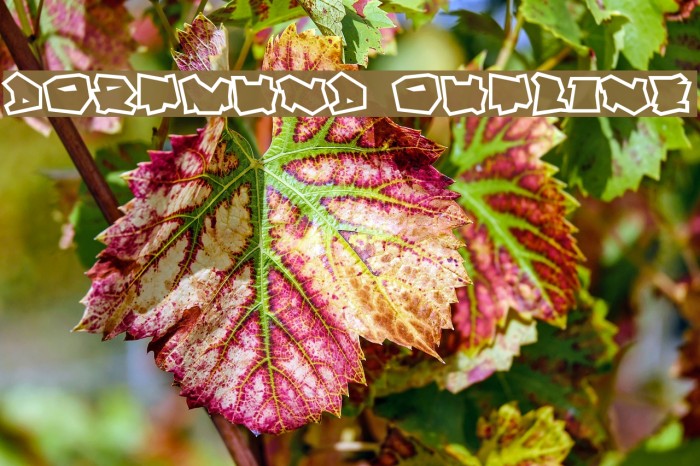 Dortmund Outline Example 2