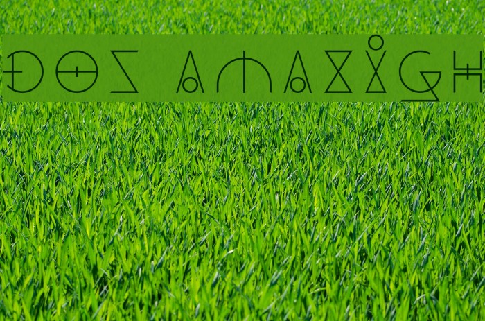 Dos Amazigh Font examples