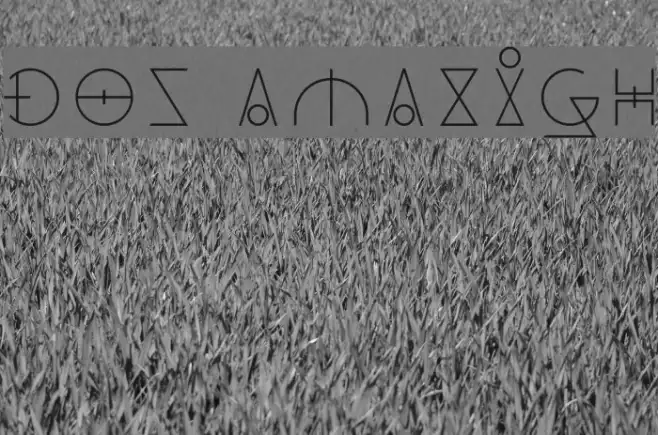 Dos Amazigh Example 3