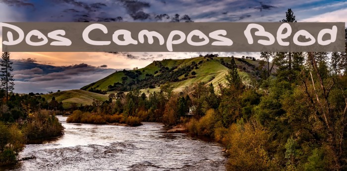 Dos Campos Blod Font examples