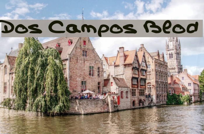 Dos Campos Blod Font examples