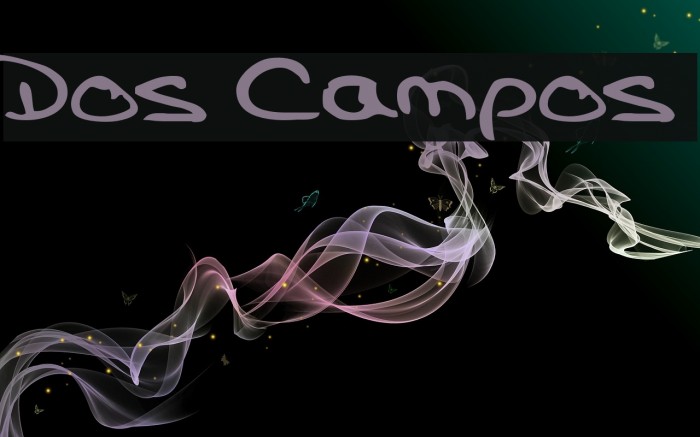 Dos Campos Example 2