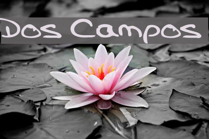 Dos Campos Example 3