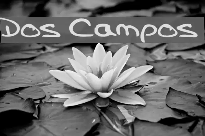 Dos Campos Font examples