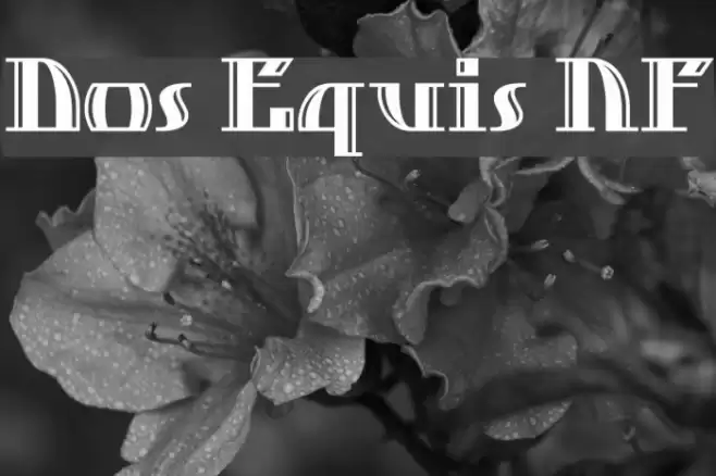 Dos Equis NF Schriftart examples