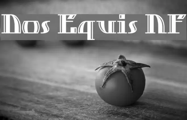 Dos Equis NF Schriftart examples