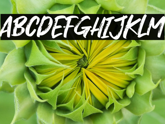 Dosen Killer Example 1