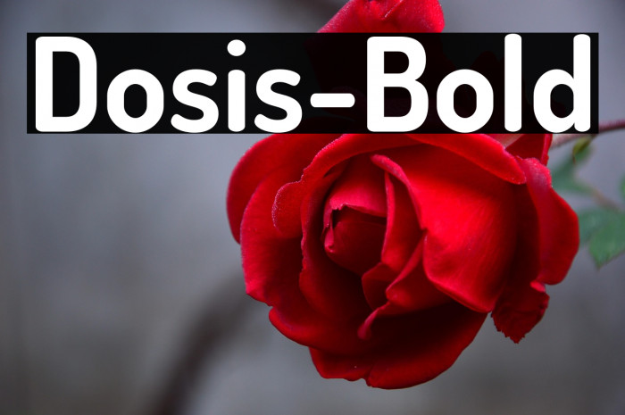 Dosis-Bold Example 1